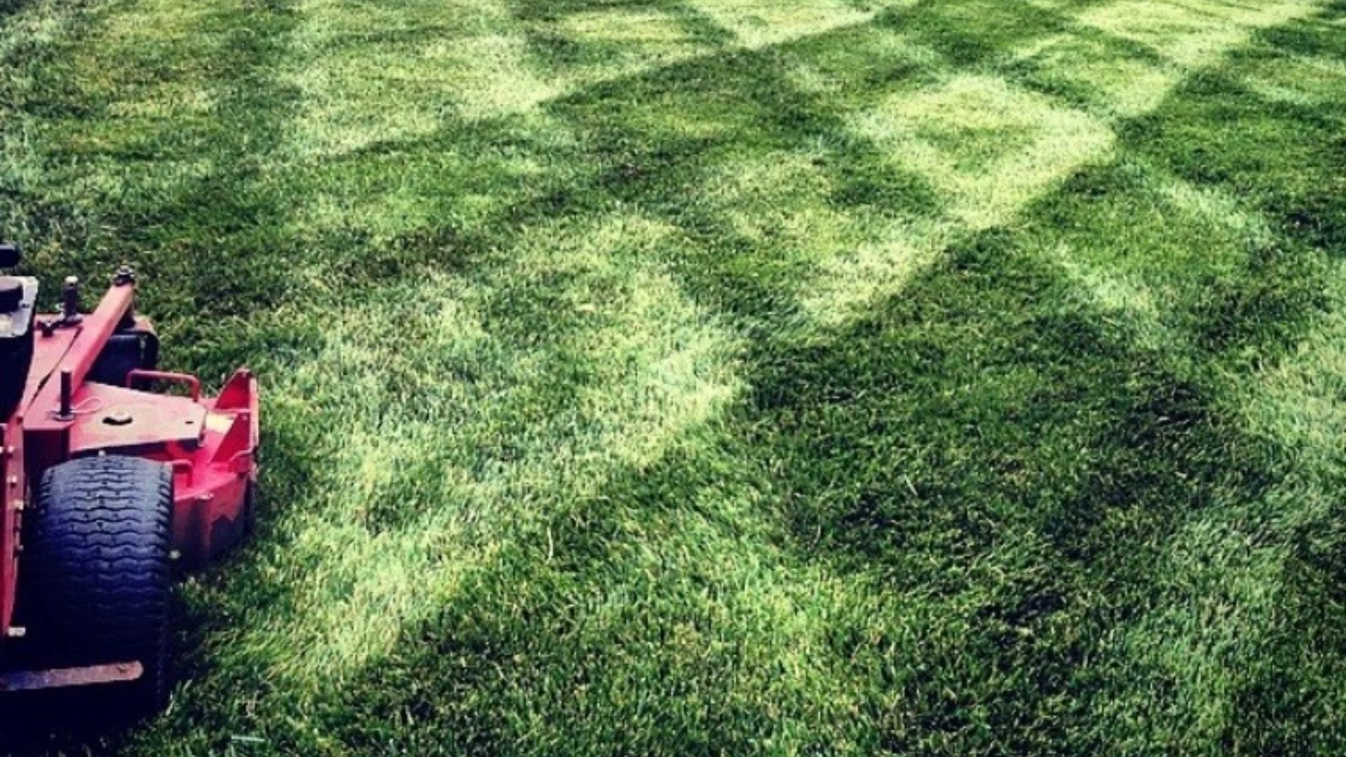 4 Reasons That Mowing Your Lawn Right After It Rains Is a Bad Idea!