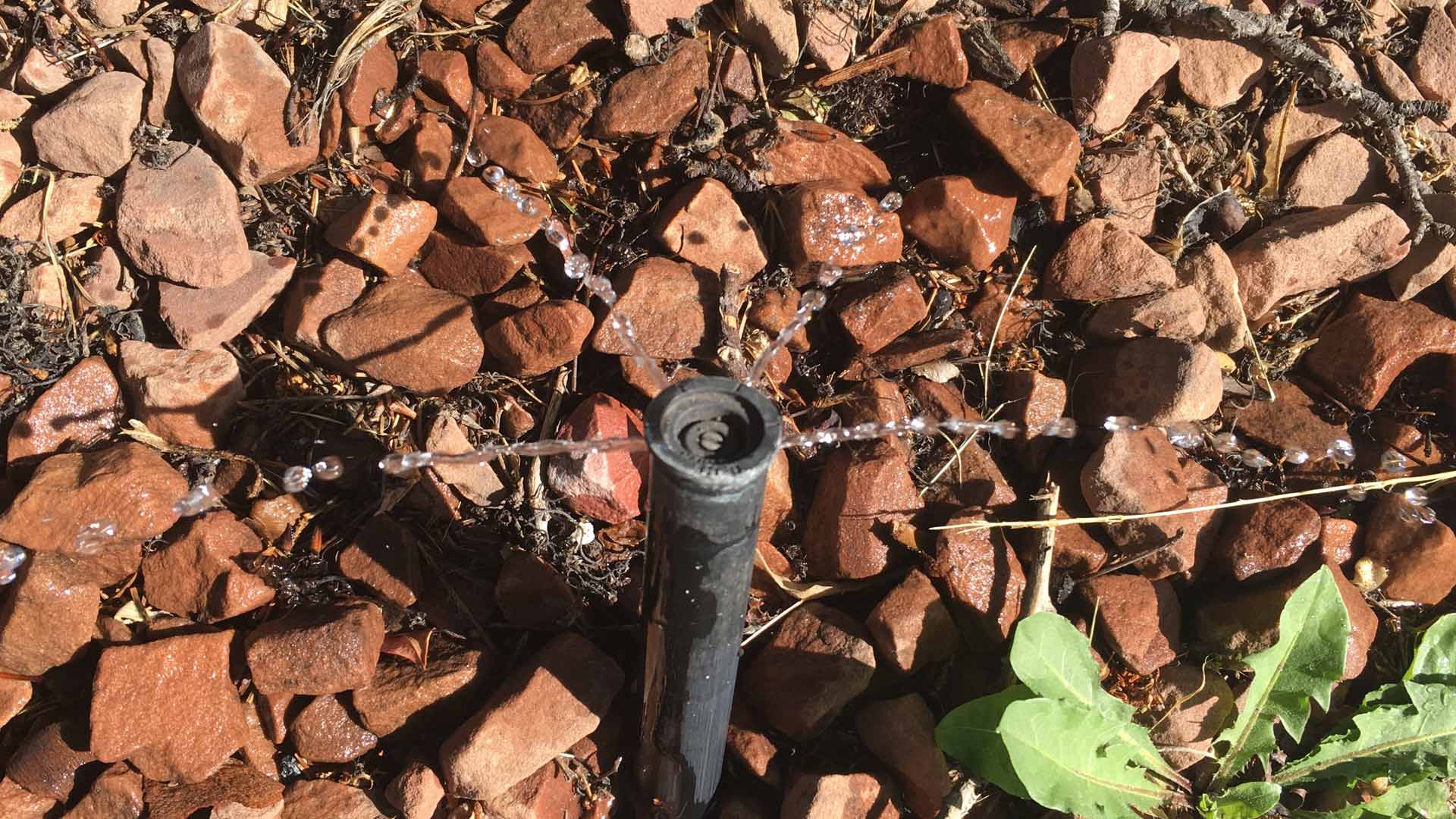 Is Your Irrigation System Malfunctioning? Don’t Try to Repair It Yourself!