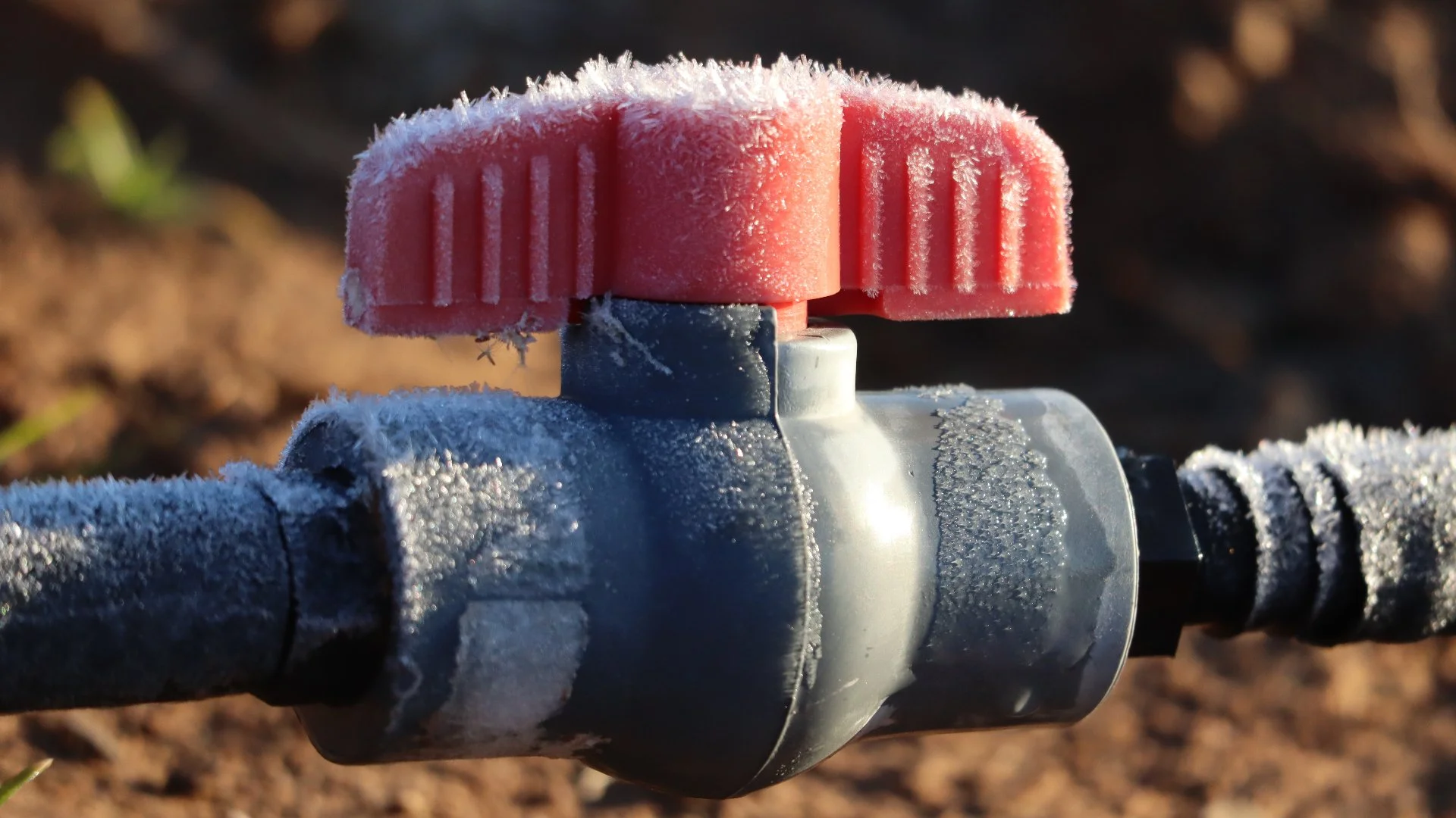 Don't Forget to Winterize Your Irrigation System!