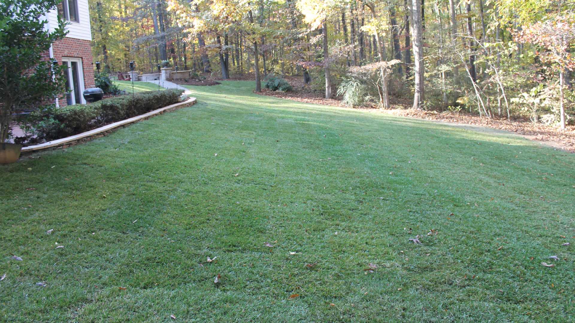Healthy green lawn in Greensboro, NC.