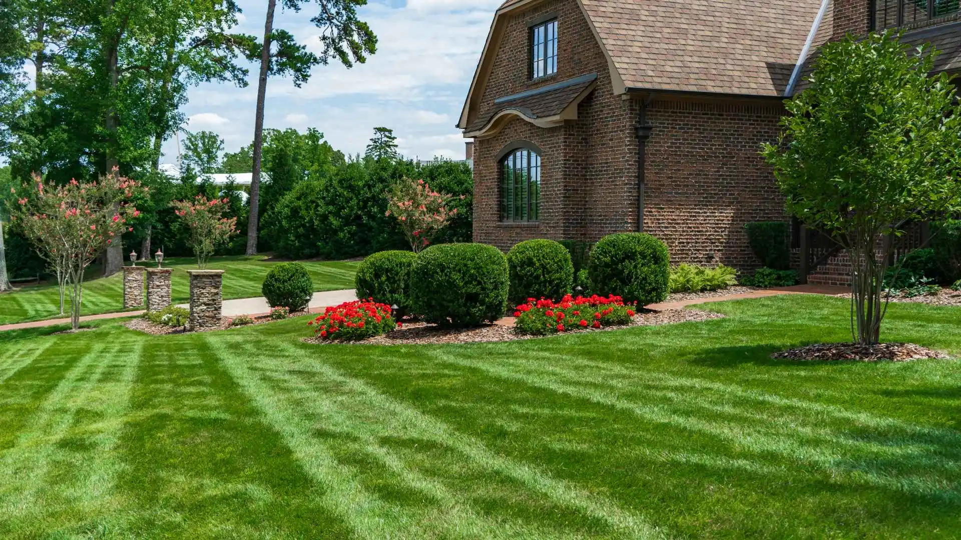 Healthy green lawn with mow patterns in Greensboro, NC.