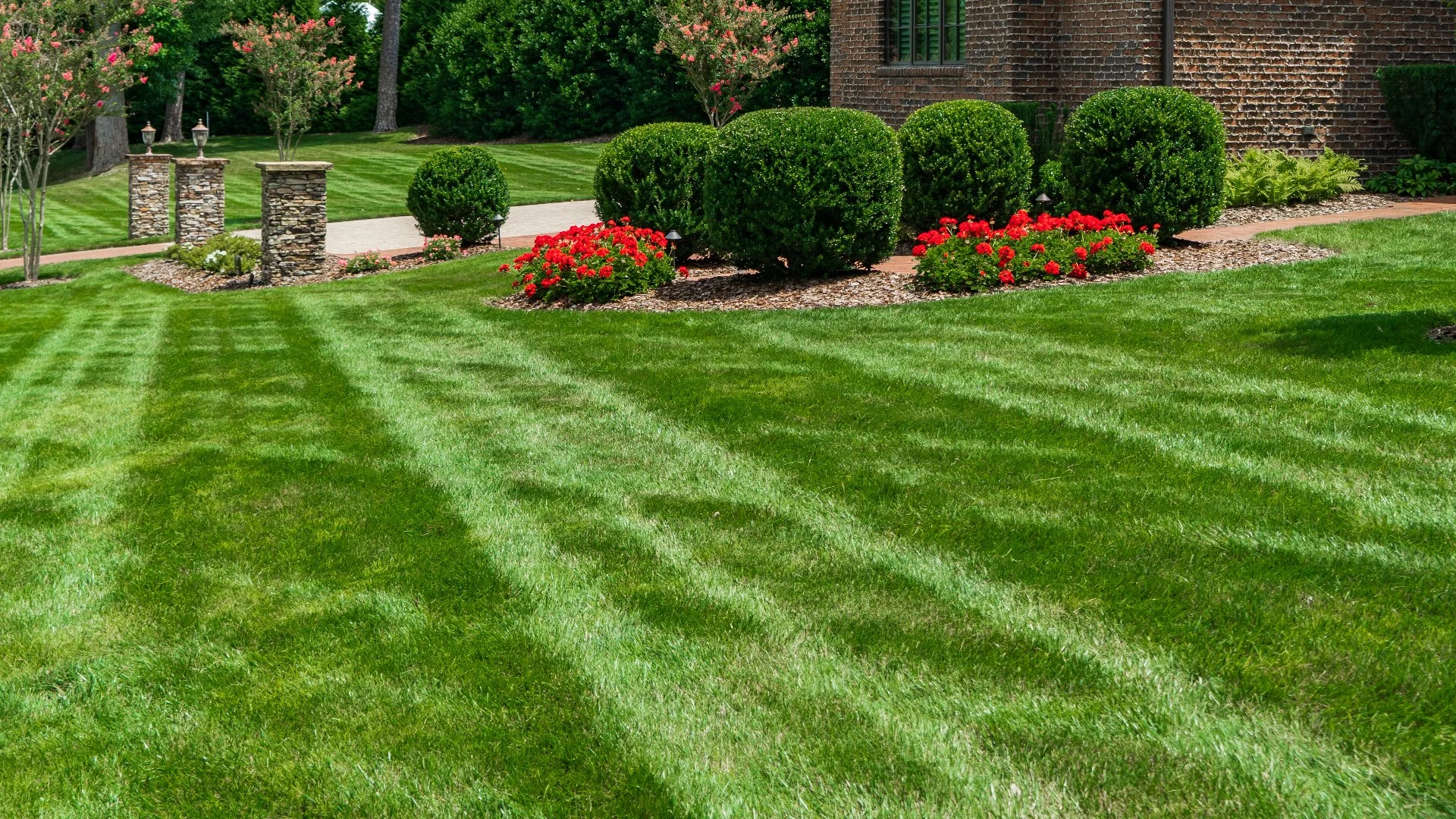 The Three Macronutrients in Lawn Fertilizers & How They Help Your Grass