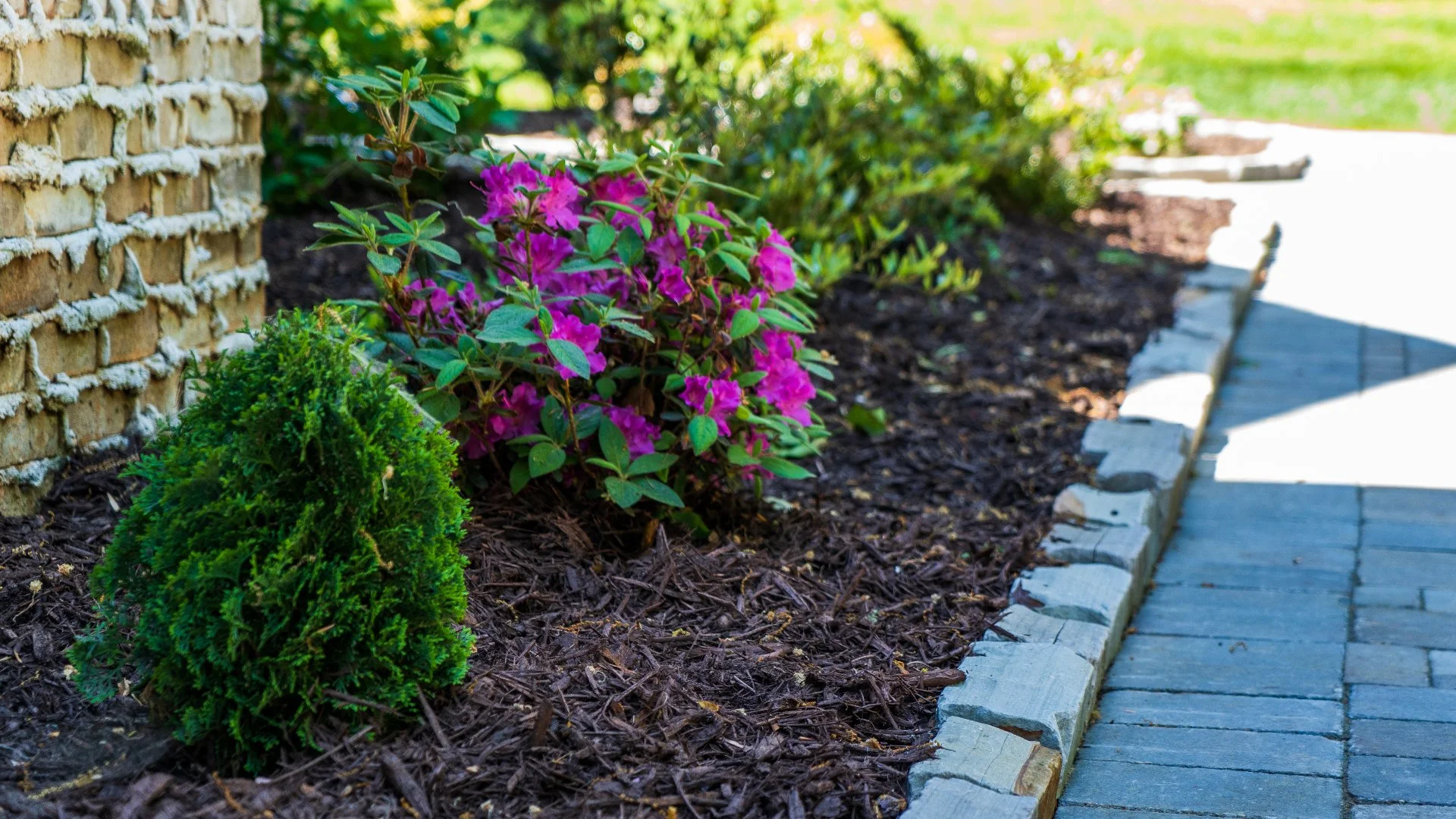 How Do You Plan a Landscape Bed?