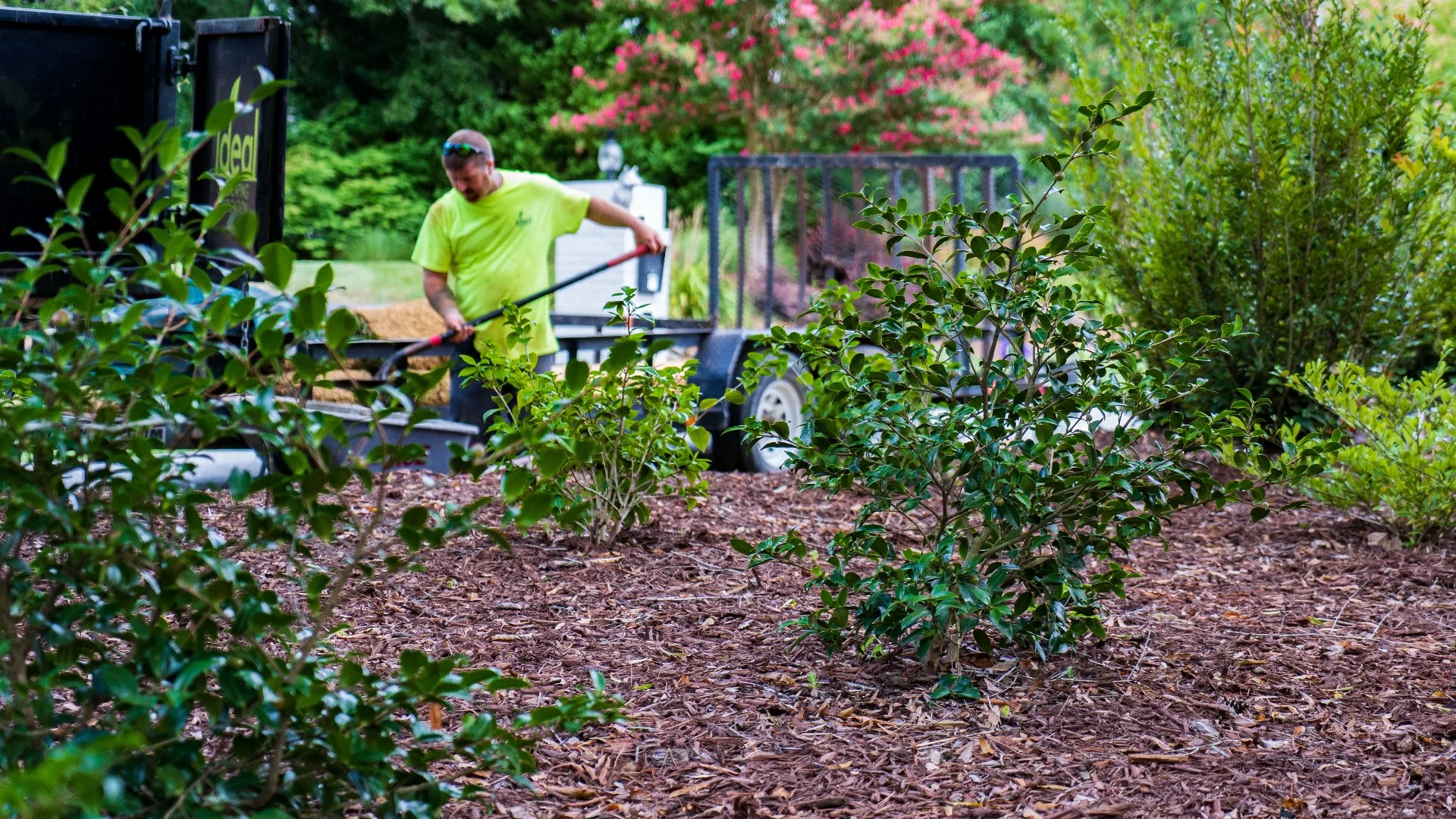 What's the Ideal Thickness for a Mulch Ground Cover?