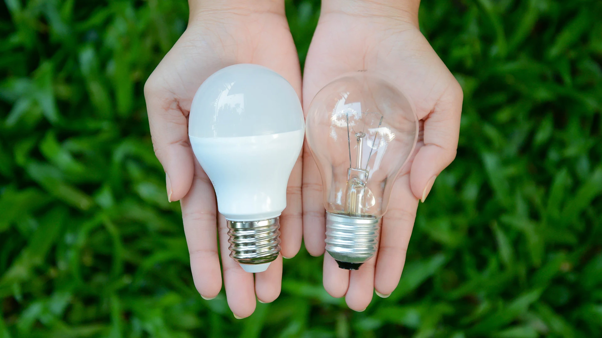 What Are the Best Types of Bulbs to Use for Outdoor Lighting?