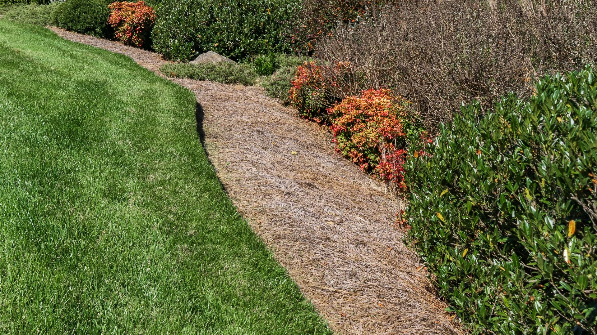 How Many Times a Year Do I Need to Refresh My Mulch?