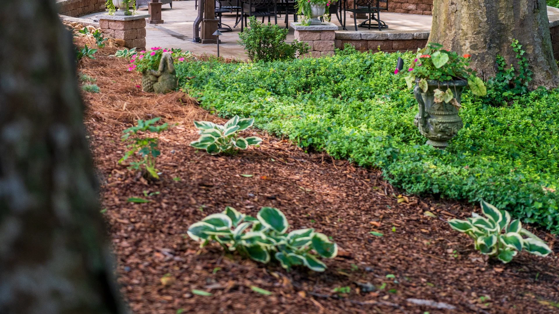 Is It Necessary to Remove Old Mulch Before Adding a New Layer?