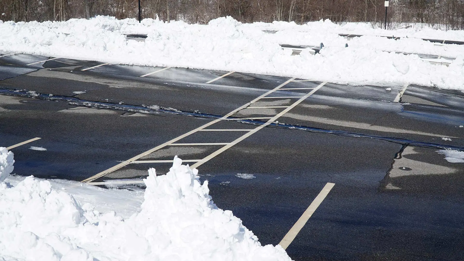 Look for These 3 Things Before Hiring a Commercial Snow Removal Company