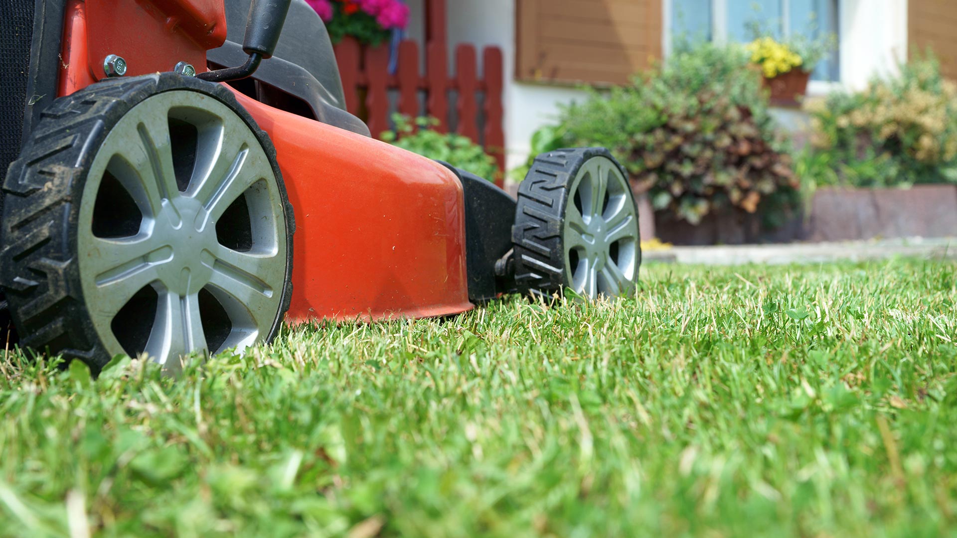 3 Mistakes You’re Likely Making When Mowing Your Lawn