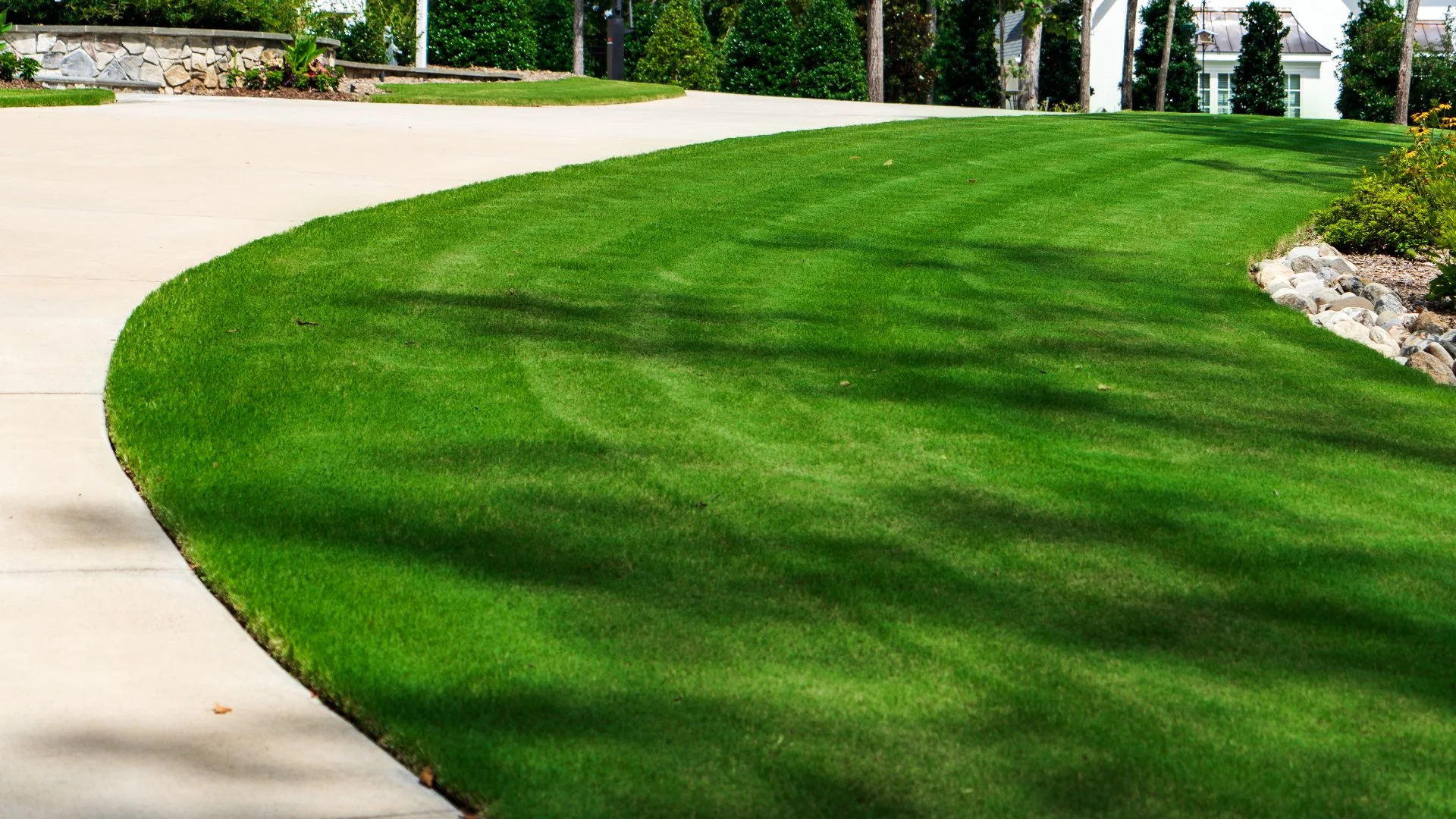Your New Sod Needs to Be Watered Properly - Here's How