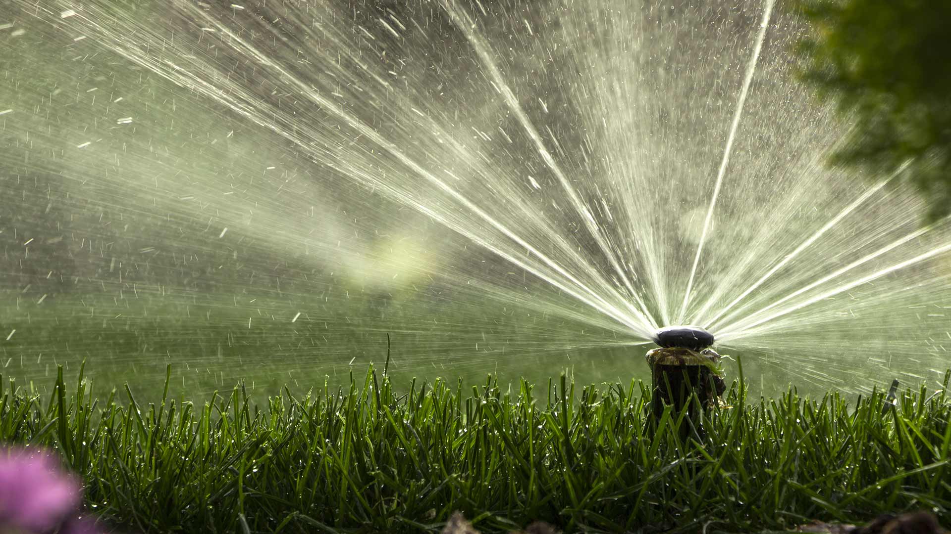 Sprinkler irrigation system watering a lawn near Winston-Salem, NC.