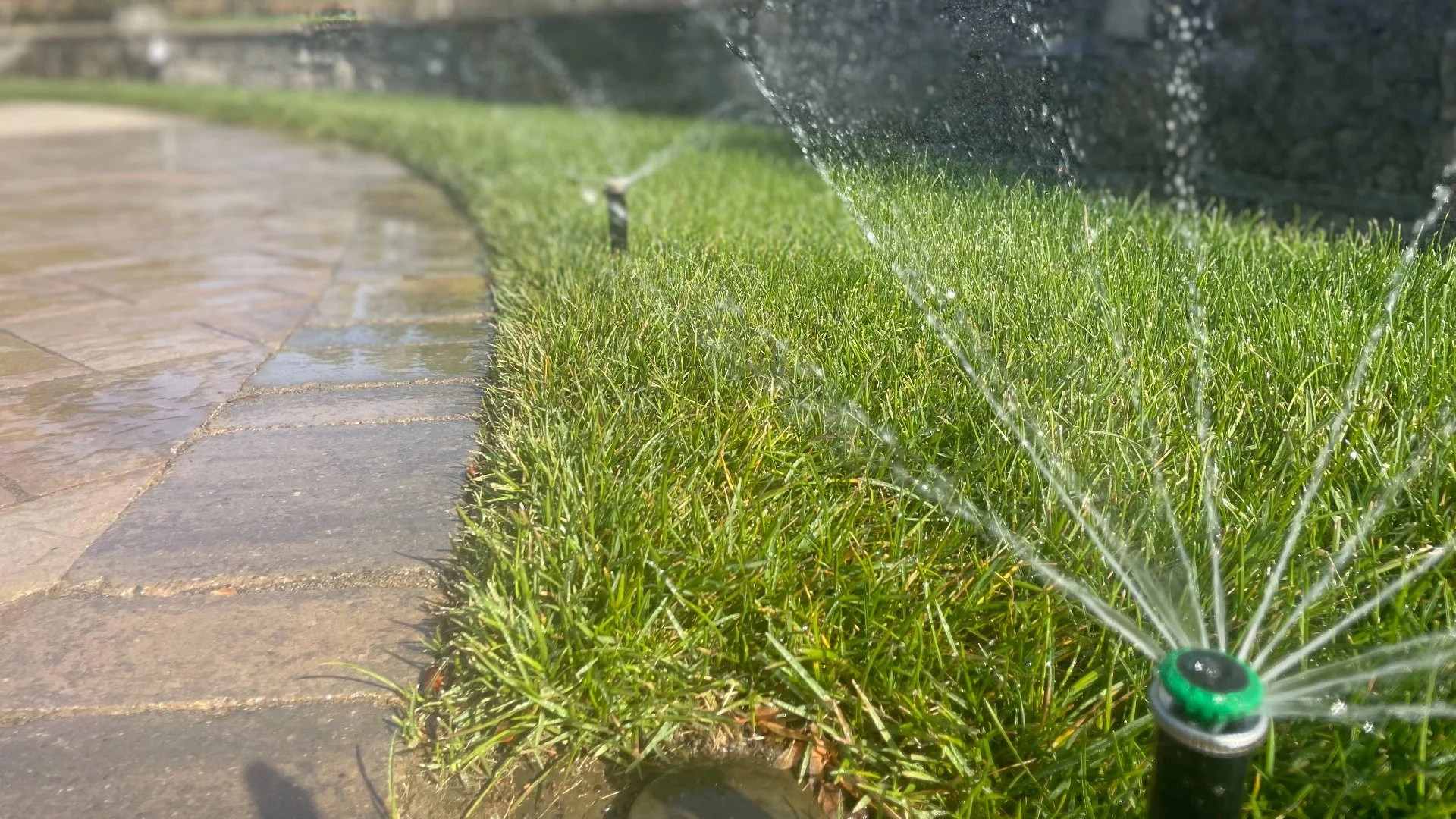 When Should You Start Up Your Irrigation System in the Spring?