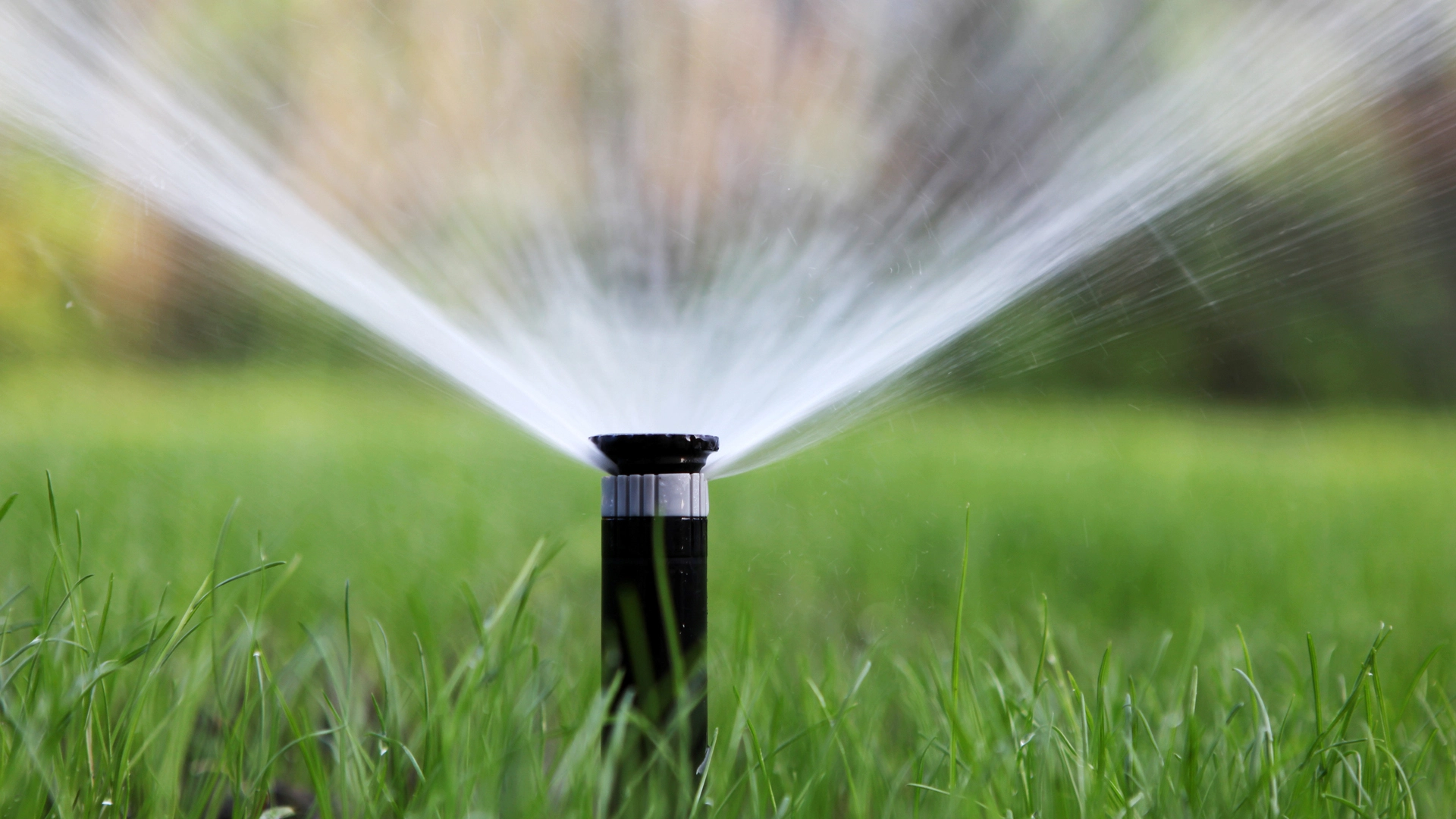 Irrigation Startup Is a Task Best Left to Professionals - Here’s Why!