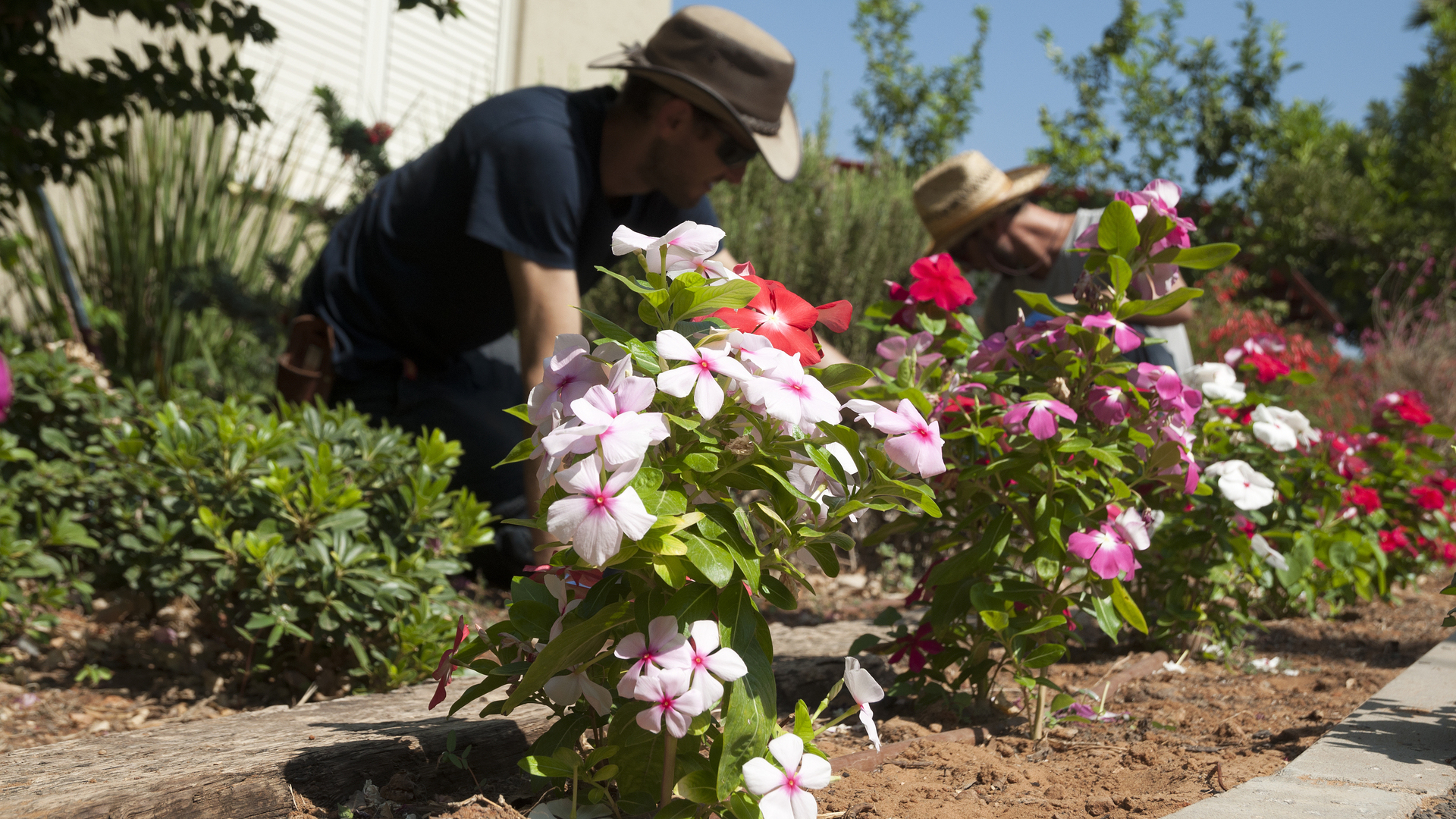 3 Ways to Prepare Your Plants for a Successful Growing Season