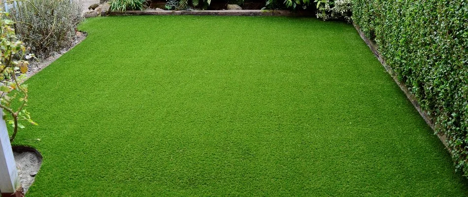 Artificial turf with shrubs and bushes around it in Greensboro, NC.