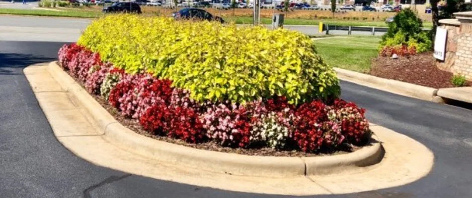 Annual and perennial flowers installed in Greensboro, NC.