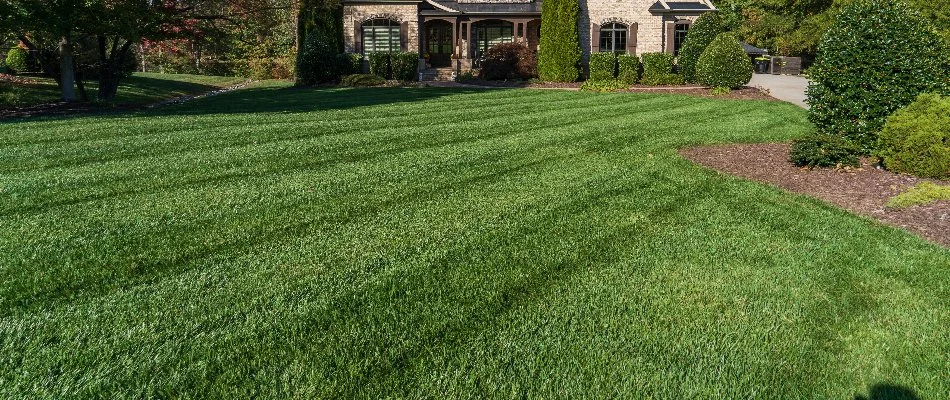 Front lawn of a house in Greensboro, NC, with green grass and landscape.