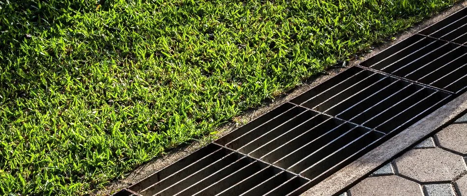 Grate of a catch basin beside a lawn in Greensboro, NC.