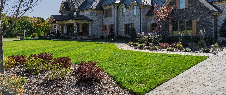 Green grass and landscape with plants in front of a house in Greensboro, NC.