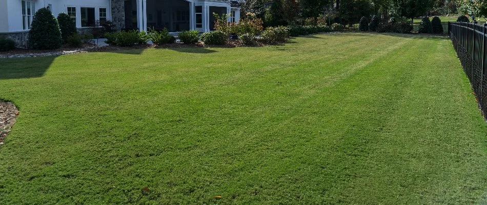 Healthy, green lawn and landscaping for a home in Greensboro, NC.