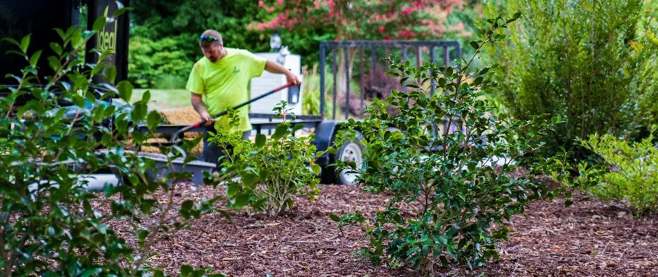 Professional installing mulch in Greensboro, NC.