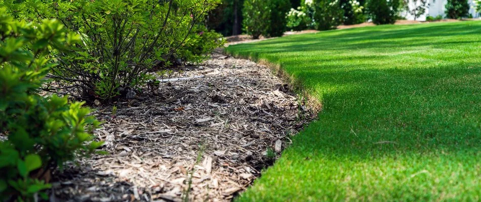 Mulch installed on a property in Greensboro, NC.