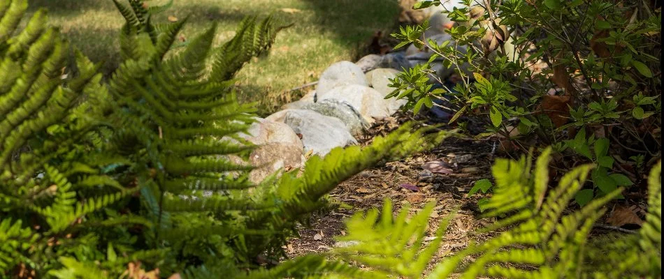 Mulch installed in landscape beds on property in Greensboro, NC.