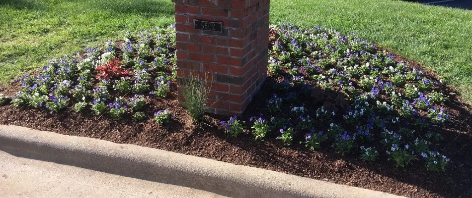 A landscape bed in Greensboro, NC, with mulch ground cover and flowers surrounding a mailbox.