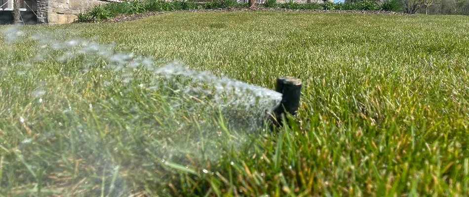 Sprinkler head watering grass in Greensboro, NC.
