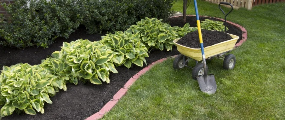 Recently replenished mulch on a property in Greensboro, NC.