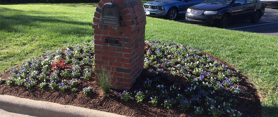 Landscape bed around a brick mailbox surrounded by flowers near Greensboro, NC.