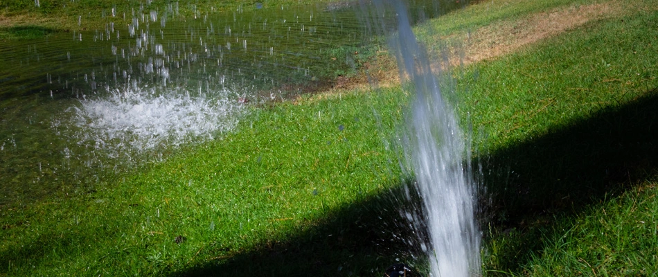 Broken irrigation system in a lawn causing flooding to arise in Greensboro, NC.