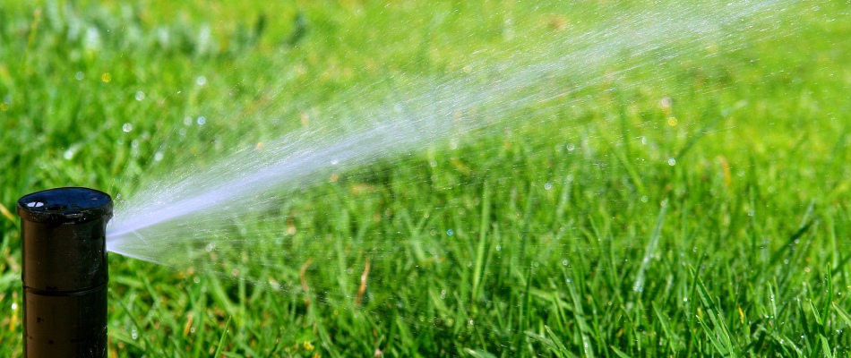 Irrigation Repair