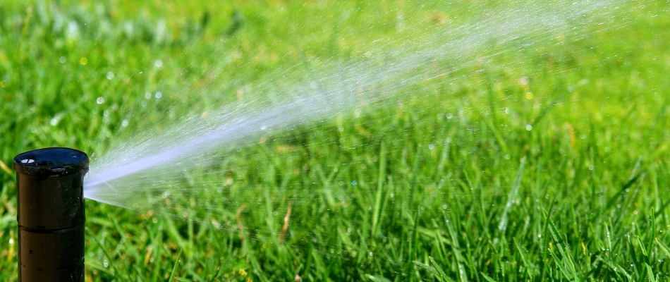Sprinkler system in lawn in Greensboro, NC.
