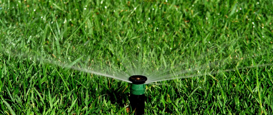 Irrigation sprinkler installed in lawn in Trinity, NC.