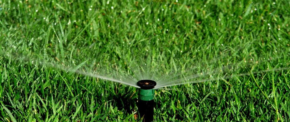 Irrigation sprinkler installed in lawn in Trinity, NC.