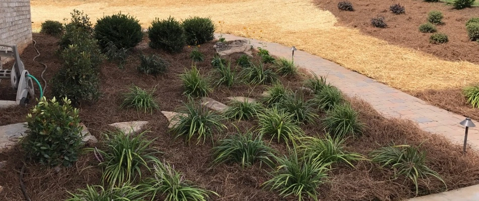 A new landscape bed installed for a customer in Greensboro, NC.