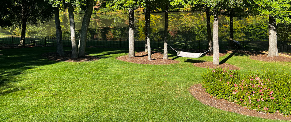 Maintained lawn by professionals in High Point, NC.
