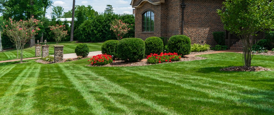 Healthy vibrant green lawn with mow pattern in Greensboro, NC.