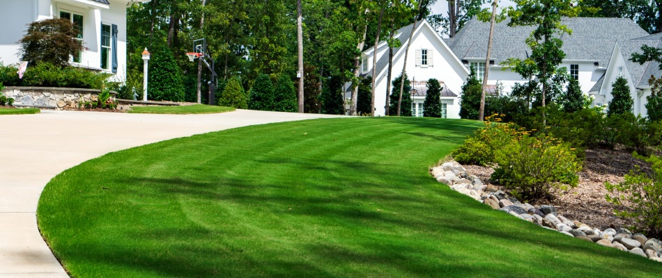 Vibrant green lawn after services by Ideal in Lewisville, NC.