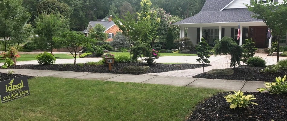 Yard cleanup service done by Ideal professionals in Summerfield, NC,