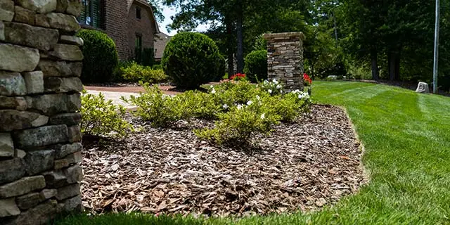 Landscape bed with trimmed edges and shrub nearby in Greensboro, NC.